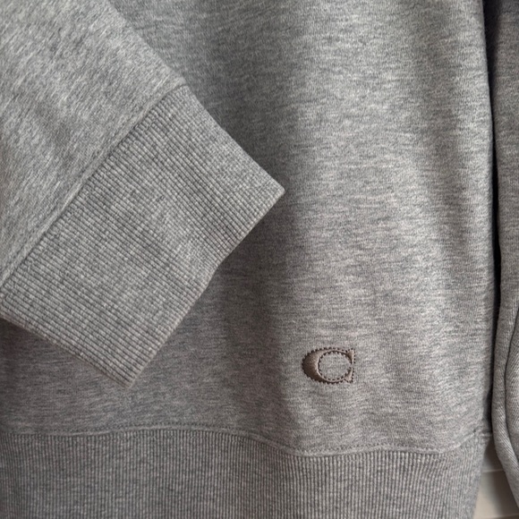 Coach Gray Rexy Dinosaur Graphic Sweatshirt - Picture 4 of 5